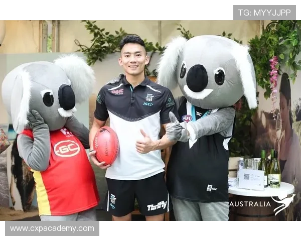 华体会体育正规官网助力用户享受高品质的体育娱乐与博彩体验 华体会体育正规官网助力用户享受高品质的体育娱乐与博彩体验