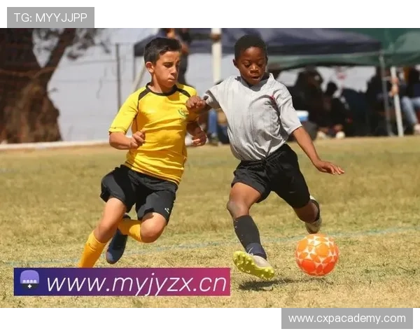 华体绘hth官方网站提供安全稳定的登录入口，保障玩家账号信息安全与游戏顺畅体验