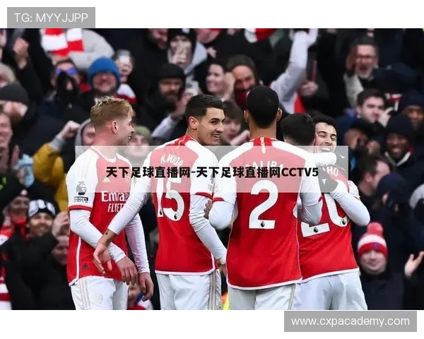 足球直播线上手机版多种赛事选择涵盖国内外顶级足球联赛满足不同球迷的观看需求